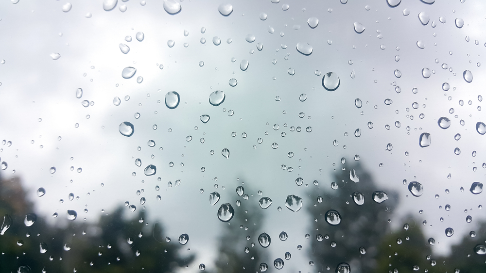 Raindrops at window with blurred tree background. The rainy season.