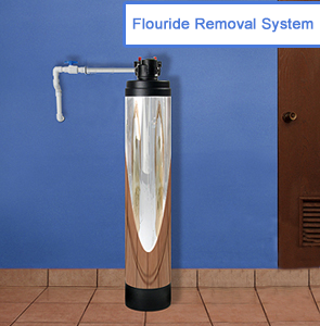 Flouride Removal System