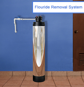 Flouride Removal System