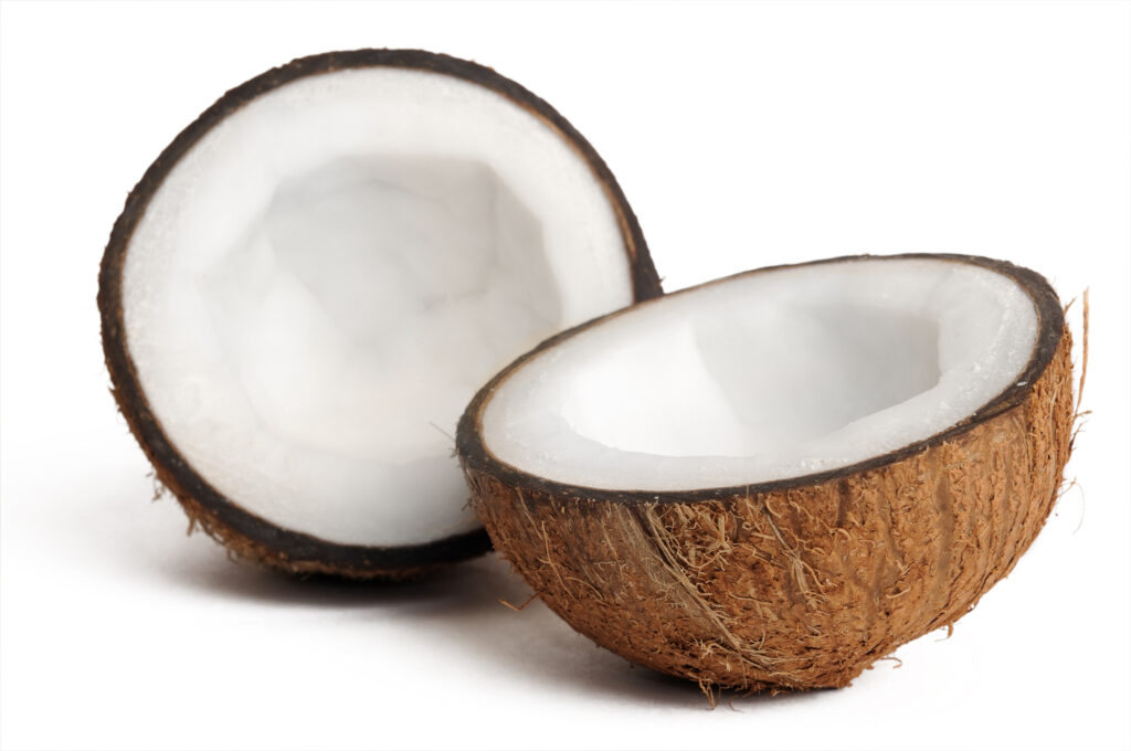 Using Coconuts on Water Filtration