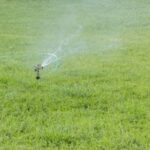 Watering Lawn