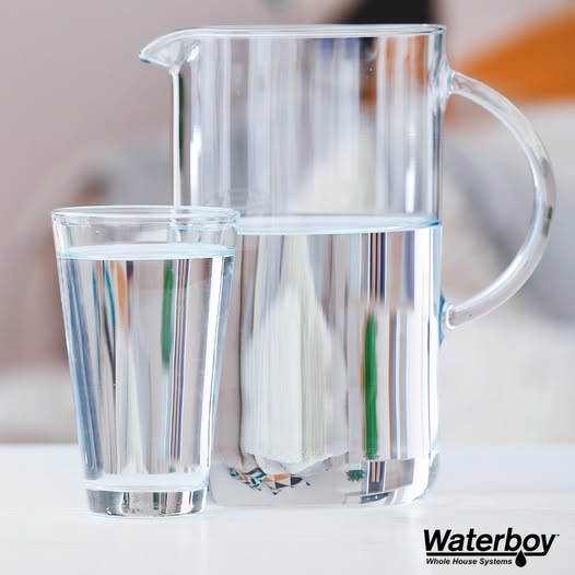 water pitcher